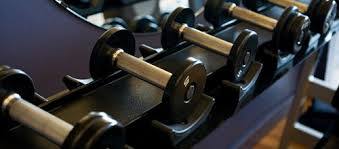 Fitness Evolution 