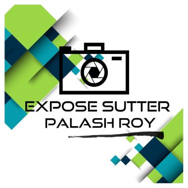 Expose Sutter