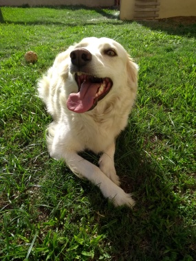 Lola