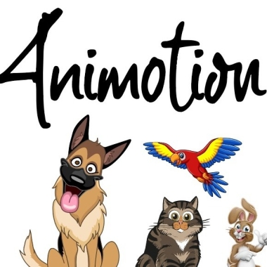 Animotion