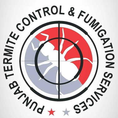 Punjab Termite Control ﹠ Fumigation Services
