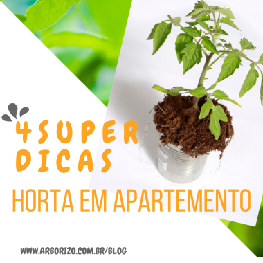 capa-infografico-horta-apartamento.png