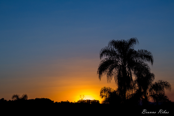 NATUREZA
https://www.facebook.com/fotograforibas/