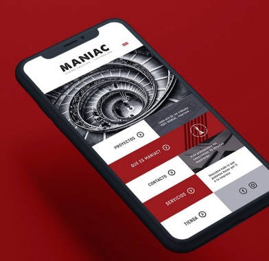 DISEÑO WEB - APP
