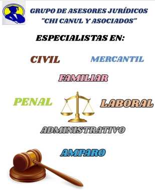 Especialistas en las ramas del derecho.