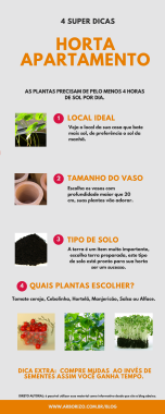 infografico-horta-apartamento.png
