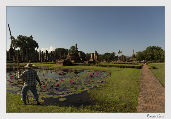 Travail, le matin dans un temple