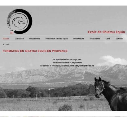 Ecole de Shiatsu Equin	

> gestion de projet
> création logo, identité graphique
> SEO (Search engine optimization)
> graphisme, iconographie et conception web
> développement (CMS WORDPRESS)