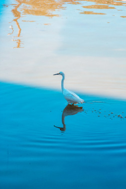 Fotografia Livre