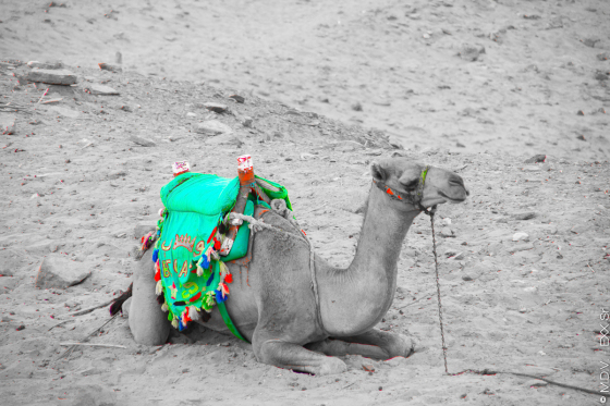 PhotoArt-Egypt_Aswan_Desert_ship.jpg