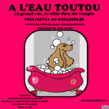 e me prénomme Sigolene et je  vous accueille dans mon salon de toilettage ou je vous propose les prestations suivantes:

    toilettage chien /chat petit et grand en méthode positive.
    épilation.
    coupe ciseaux.
    tonte.
    toilettage asiatique.
    toilettage d'exposition.
    soins masque beauté et aromathérapie.
    vente cosmétique et croquette chien/chat .
    conseils en éducation positive et handling.
    massage canin (courant 2016 ).

Je suis une "jeune" toiletteuse ayant obtenue son certificat de toiletteur animalier ( reconnu par le RNCP)avec mention très bien. Je suis dans le monde canin depuis une dizaine d'années en tant qu'éleveuse et tournant dans le milieu d'exposition de beauté canine,je possède donc mon certificat de capacité relatif a l'exercice des activités liées aux animaux de compagnies d'espèces domestiques. Je suis aussi élève éducateur canin au club canin "Fun educ'agility" a Escatalens ou je donne des cours d'éducation positive et d'agility,discipline que je pratique aussi en compétition