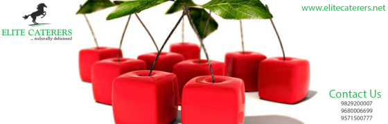 Wedding Catering Services in Jaipur