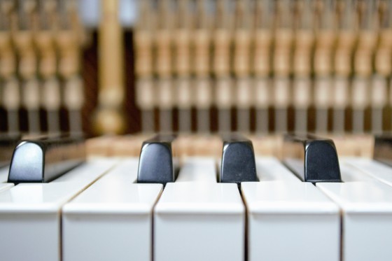 CLAVIER

> Il est possible de remplacer le revêtement plastique de votre clavier ou de reblanchir un clavier en ivoire (ponçage, blanchissage et polissage).