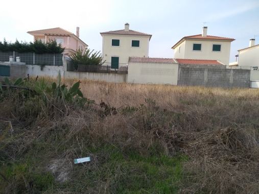 Limpeza de terreno(Antes)