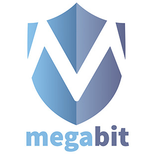 Megabit