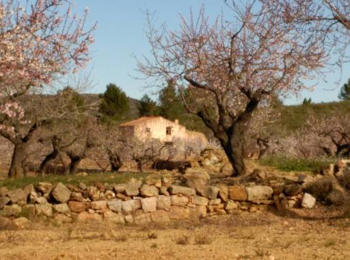 Cabanes, masia con terreno