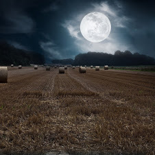Photomontage