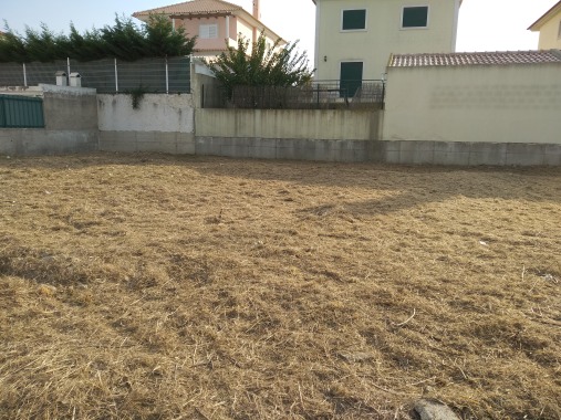 Limpeza de terreno(Depois)