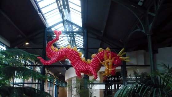 Dragon Chinois - 4m de long