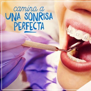 Servicios Odontologicos Ayelen