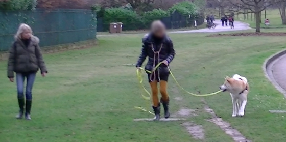 Ici, j'accompagne cette cliente dans un travail sur la réactivité (comportements agressifs) de son chien vis-à-vis des congénères
