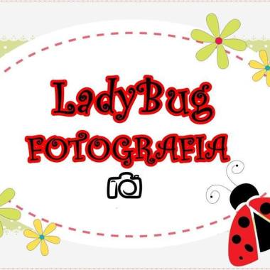 Ladybug Fotografia
