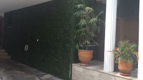 Ivy application to hide the old marble of a house.