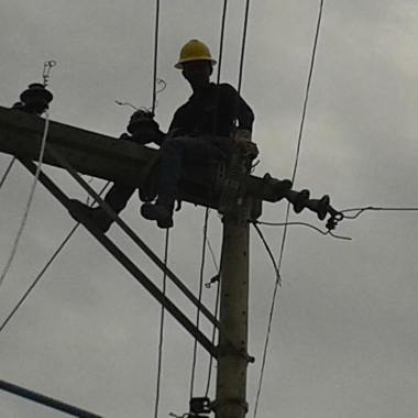 Sistem Electric