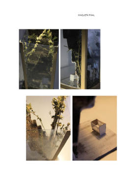 maquetismo