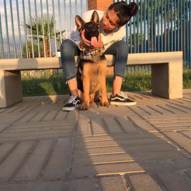 Babysitters Y Cuidadora De Perros