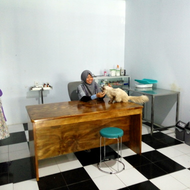 Rashalapetclinic
