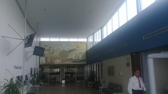 20170519_130352.jpg