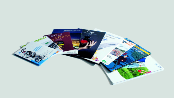 impression de plaquettes BtoB, rapport d'activité...