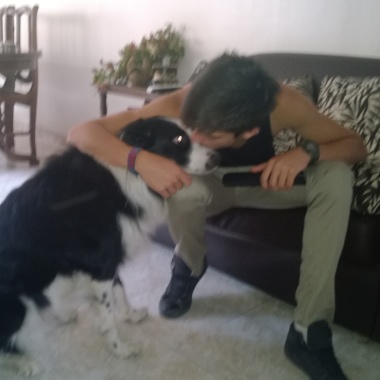 Paseador De  Perros
