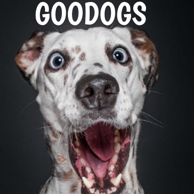 Goodogs