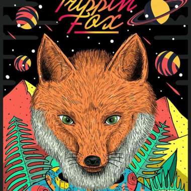 Trippin Fox