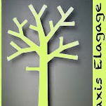 Proaxis Elagage