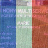 Anthony Multiservices