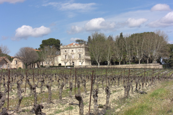 Le Domaine de la Tour est situé sur une colline en plein cœur du vignoble