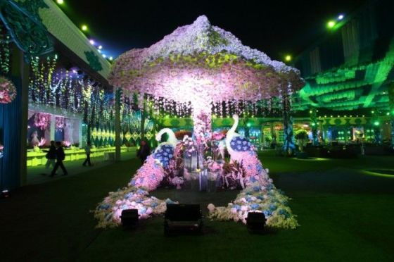 Sri Sri Caterers & Wedding Planner in Rohtak | Delhi,Ncr