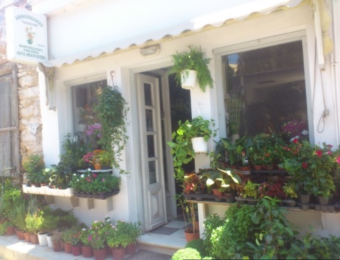 ΑΝΘΟΠΩΛΕΙΟ ΕΞΩΤΕΡΙΚΑ
OUTSIDE THE FLOWER SHOP