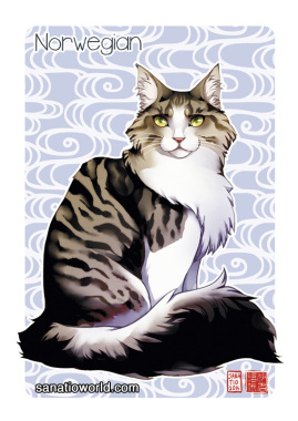 Illustration de chat de race "Norvegien".