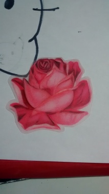 Rose, plastique fou+Posca+crayons couleur