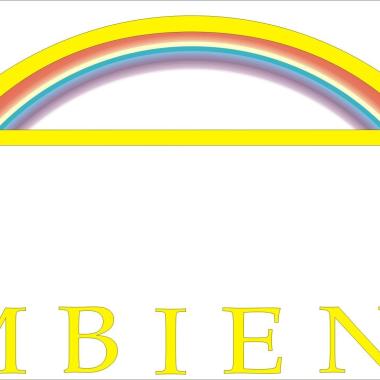 Ambiente Studio Projektowo- Handlowe
