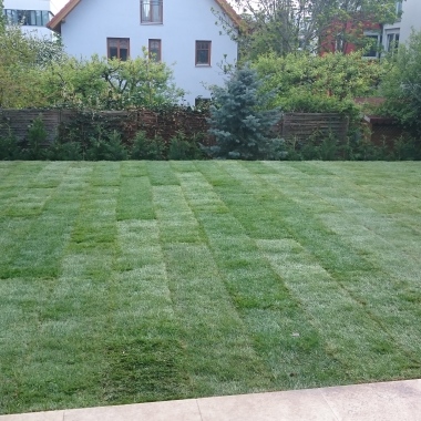 Kreativ Garten Kft. Niederlassung Österreich
