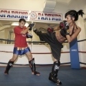 Asd Sparring Partner