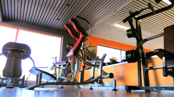 Fitness Evasion