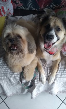 Brad e Luna 