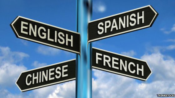 Traduction de textes en anglais, danois, chinois, allemand, russe, italien, espagnol, etc.