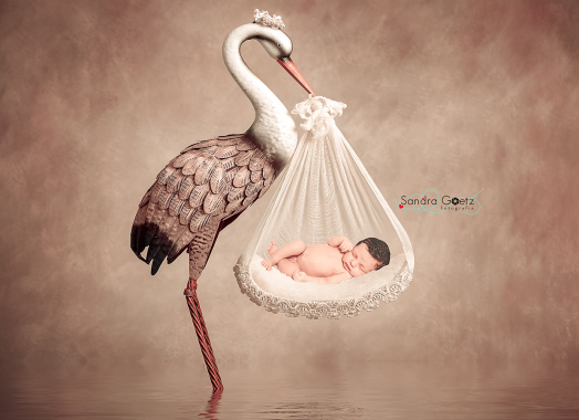 Bebês Newborn em lindos cenários Virtuais